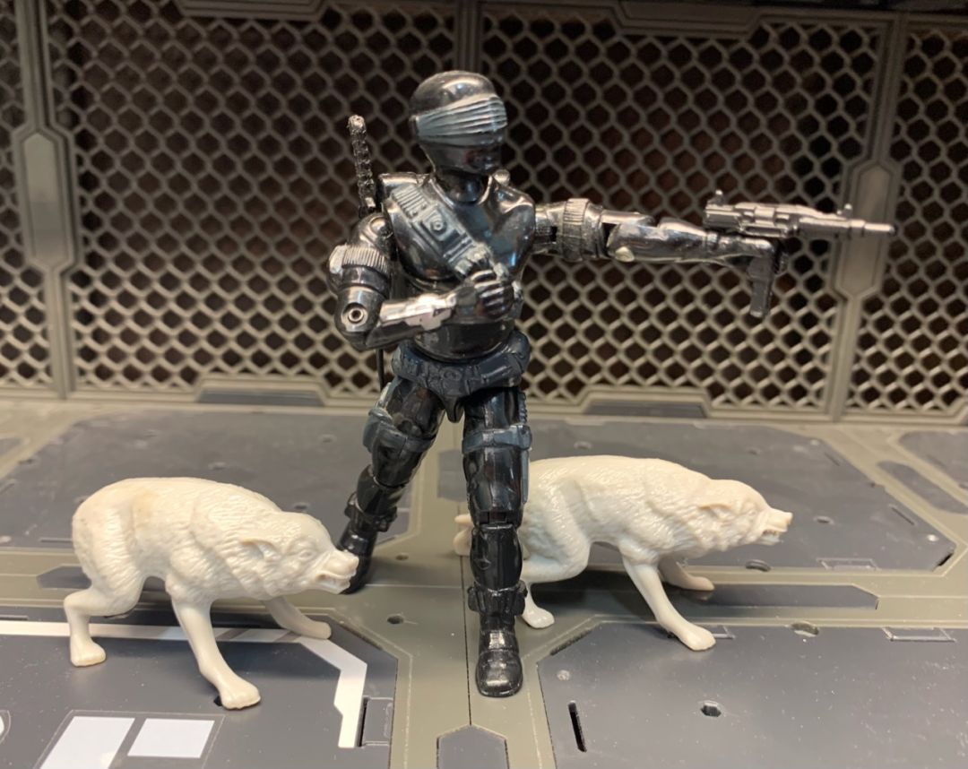 Snake Eyes & Timber - Image 3