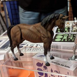 Vitruvian HACKS Horse Prototype