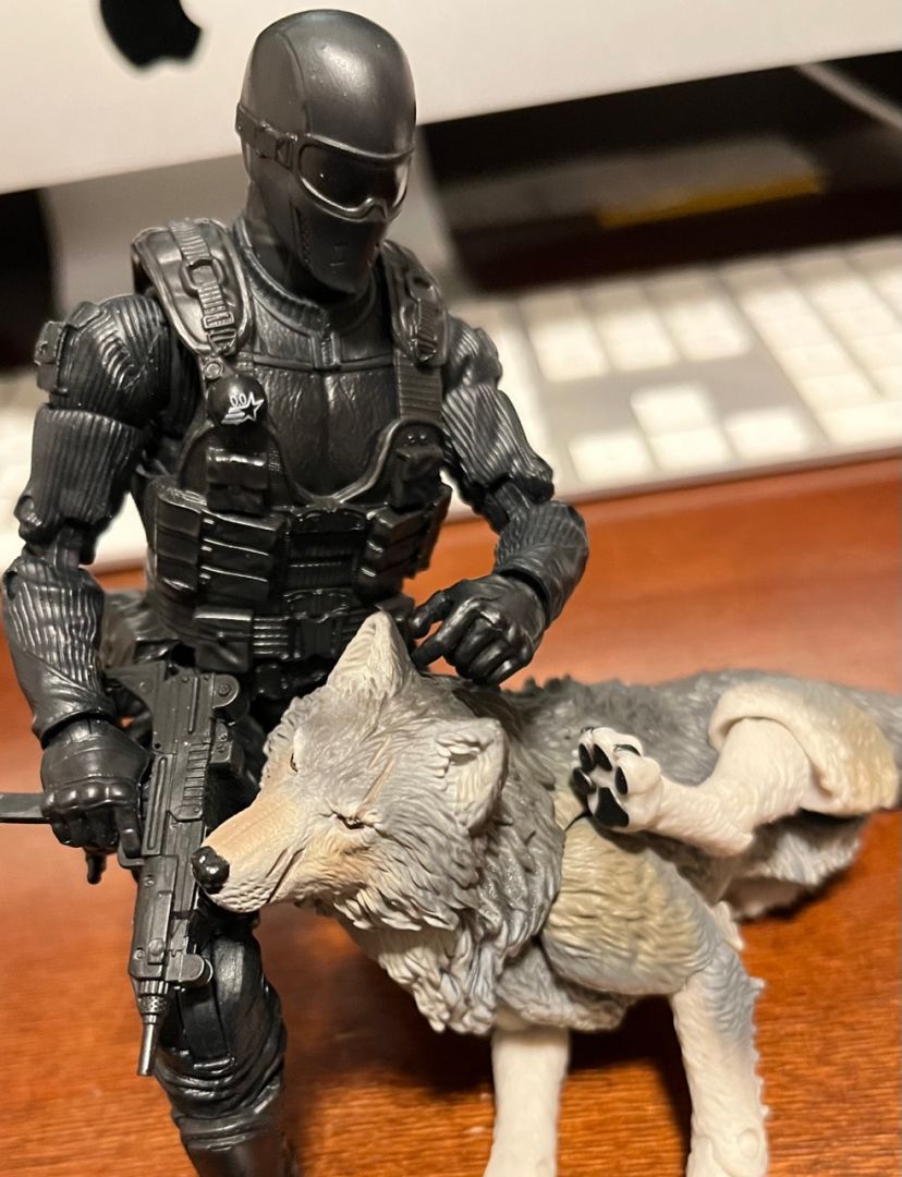 Alpha Commando Snake Eyes (Classified) - Image 2