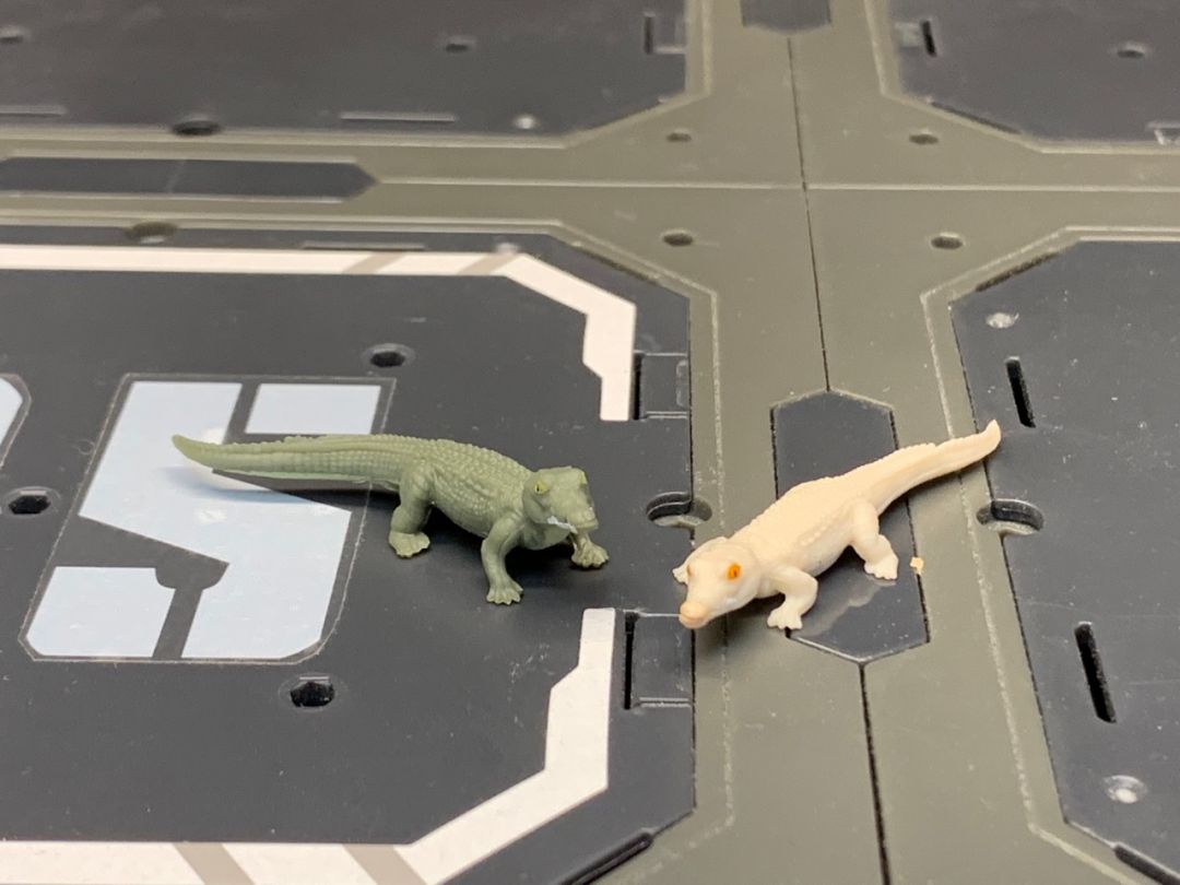 Croc Master & Fiona - Image 2