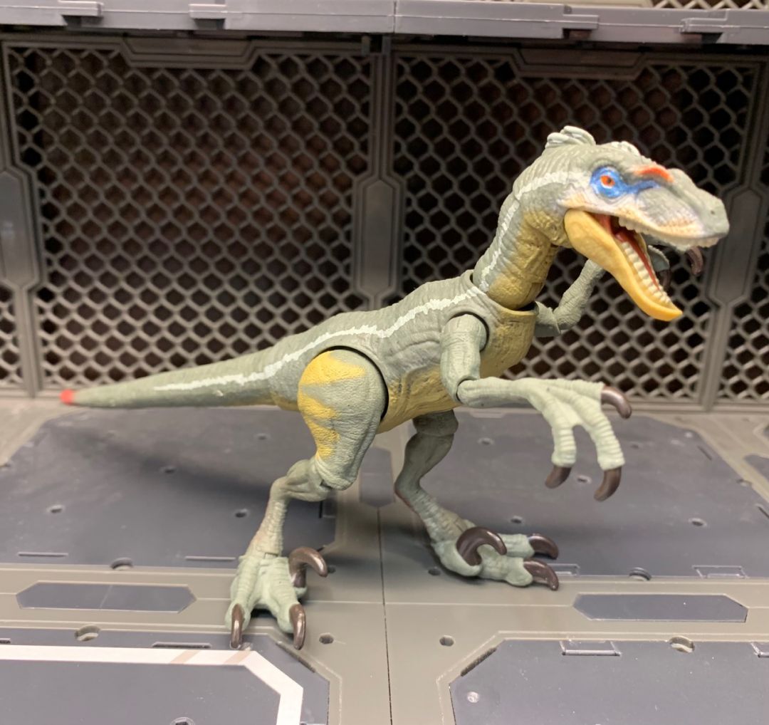 Velociraptor - Image 1