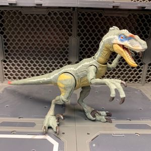 Velociraptor