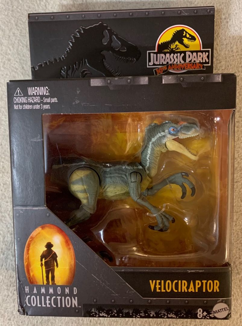 Velociraptor - Image 3