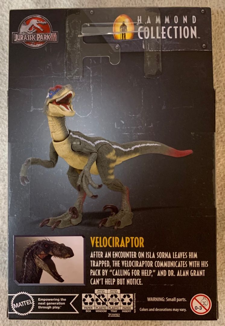 Velociraptor - Image 4