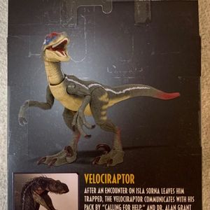 Velociraptor