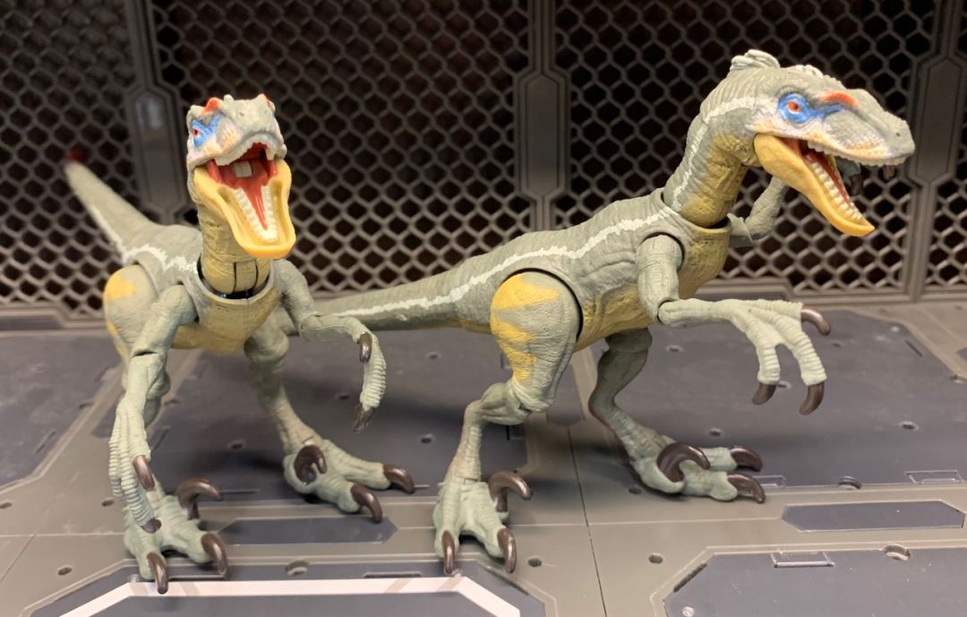 Velociraptor - Image 7