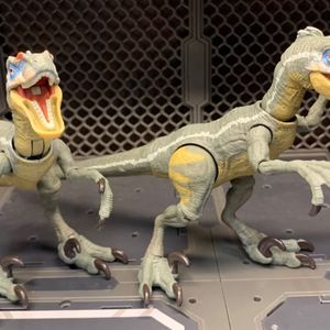 Velociraptor