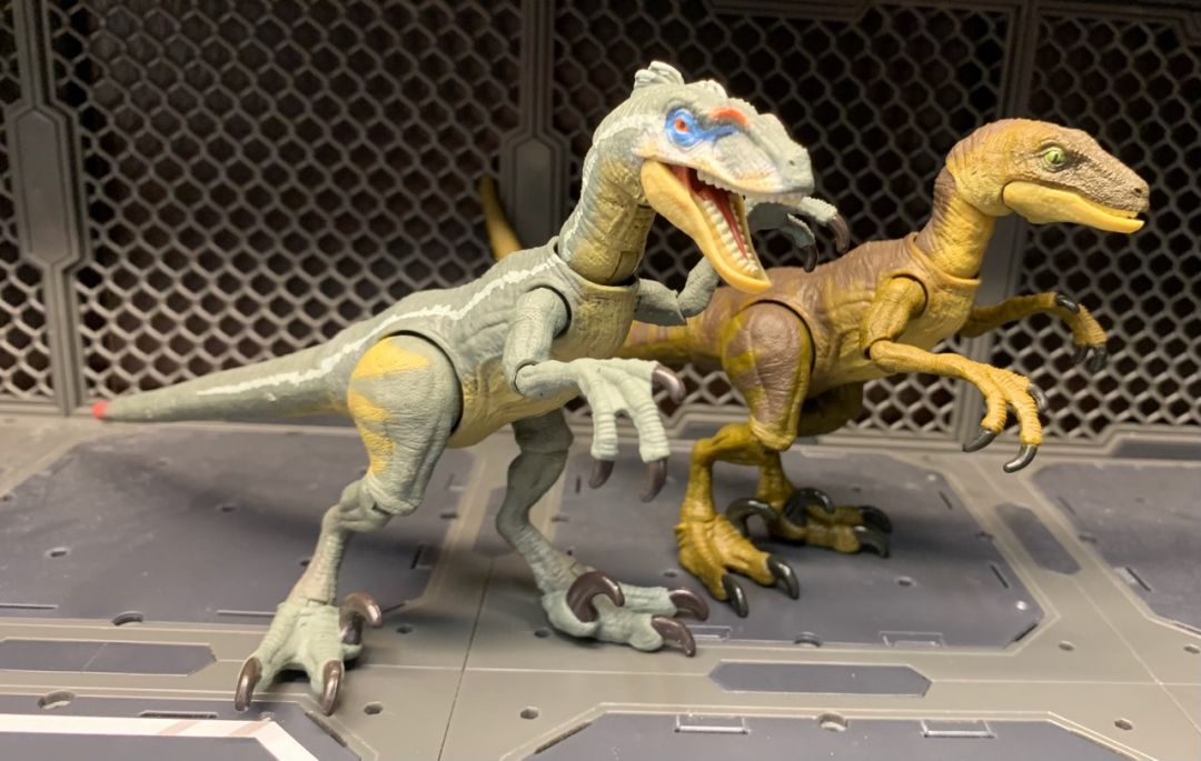 Velociraptor - Image 8