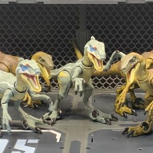 Velociraptor