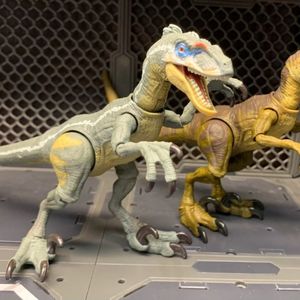 Velociraptor