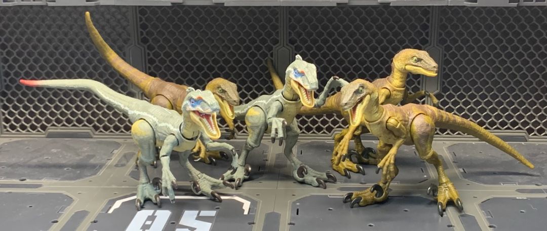 Velociraptor - Image 4