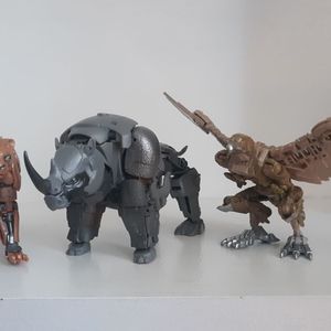 Rhinox