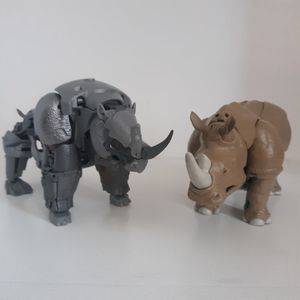 Rhinox