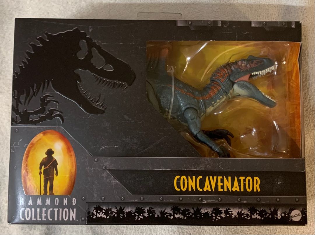 Concavenator - Image 3