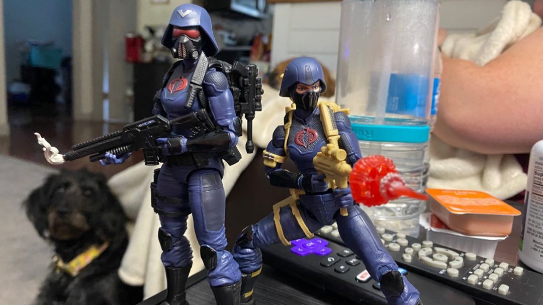 The Valkyries - Image 1
