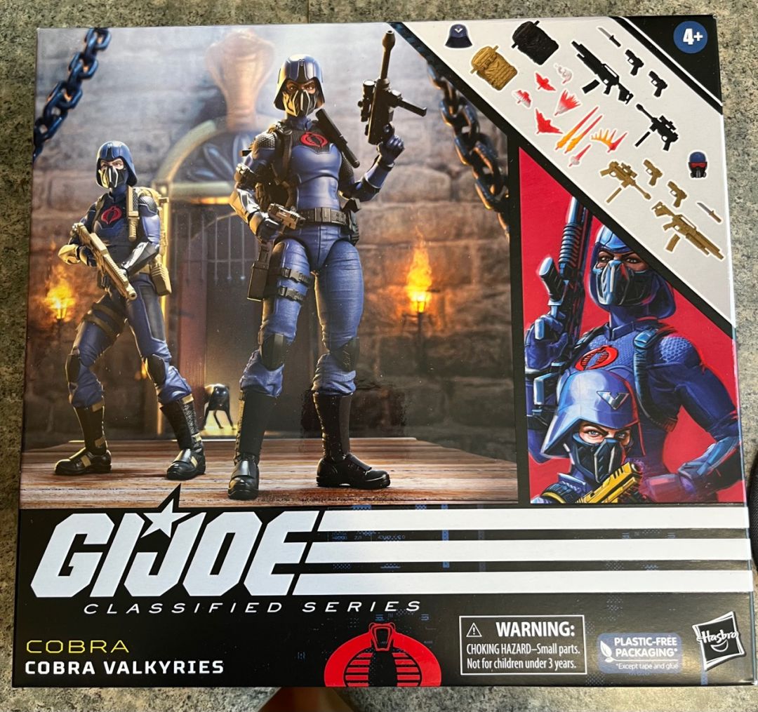 Cobra Valkyries  - Image 1