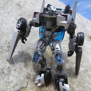 Mountain Bots