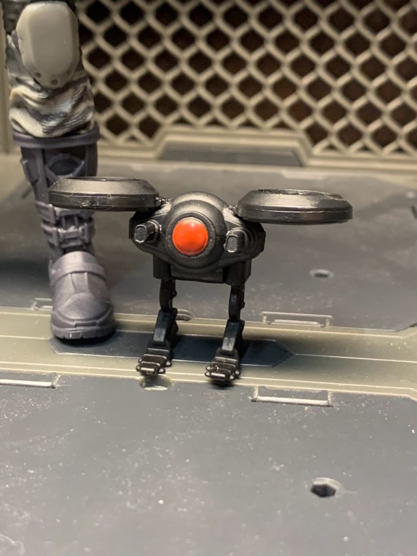 Firefly  - Image 3
