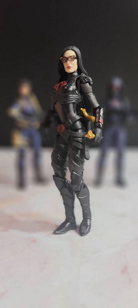 Baroness with Personal Guard Detail - Image 2