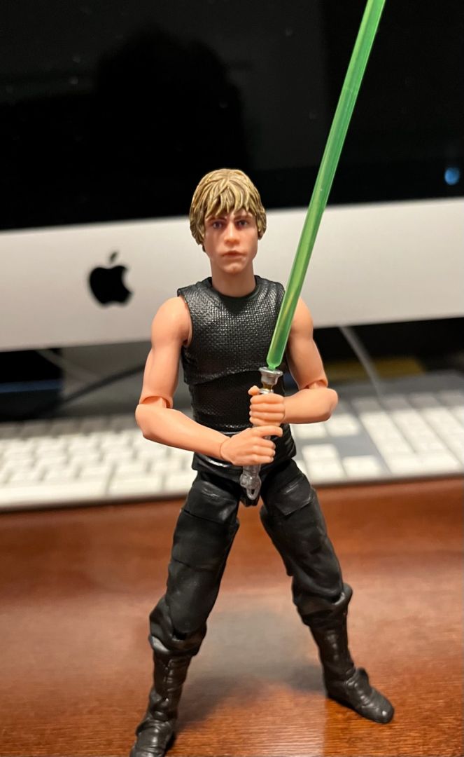 Luke Skywalker (Heir To The Empire) - Image 3