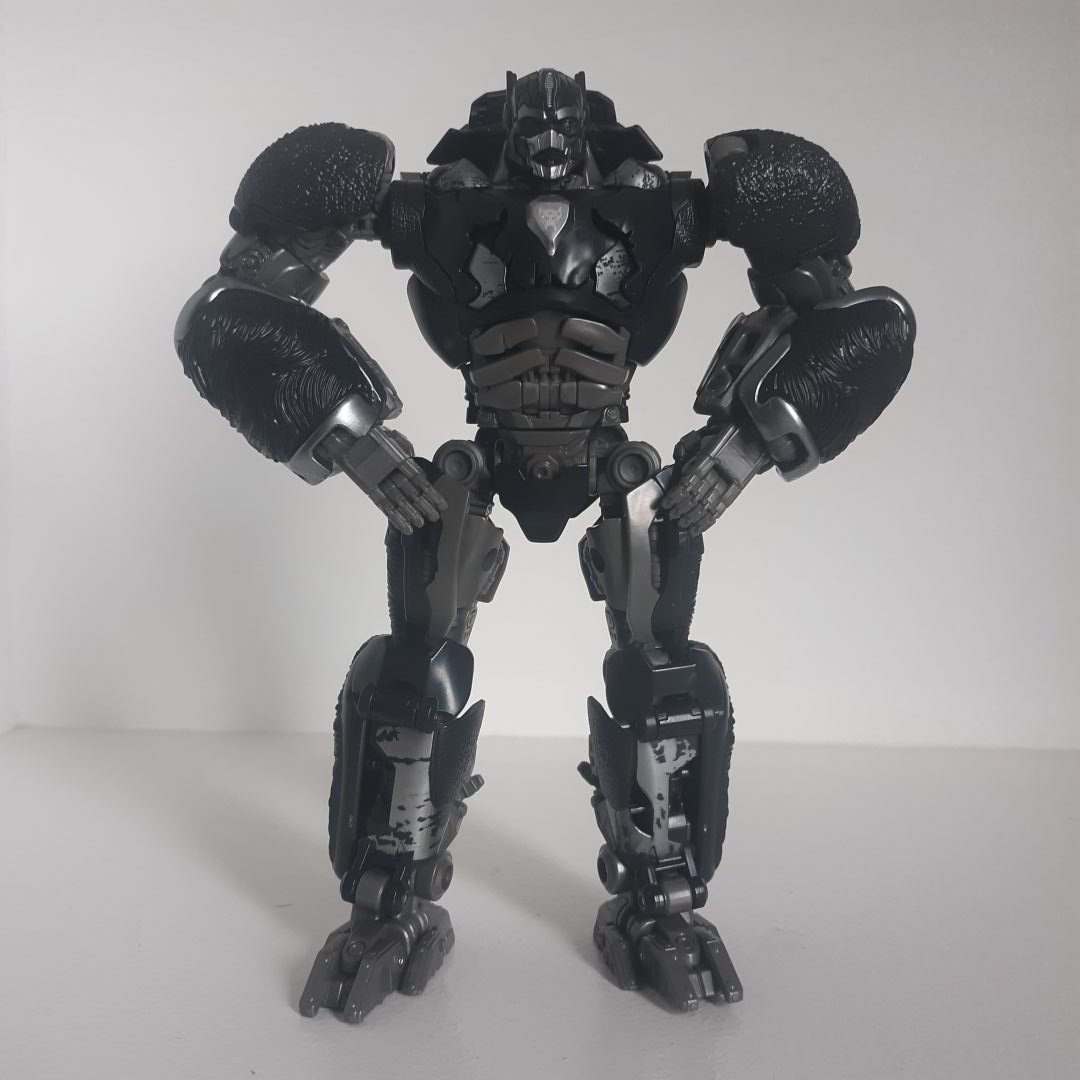 Optimuis Primal - Image 1