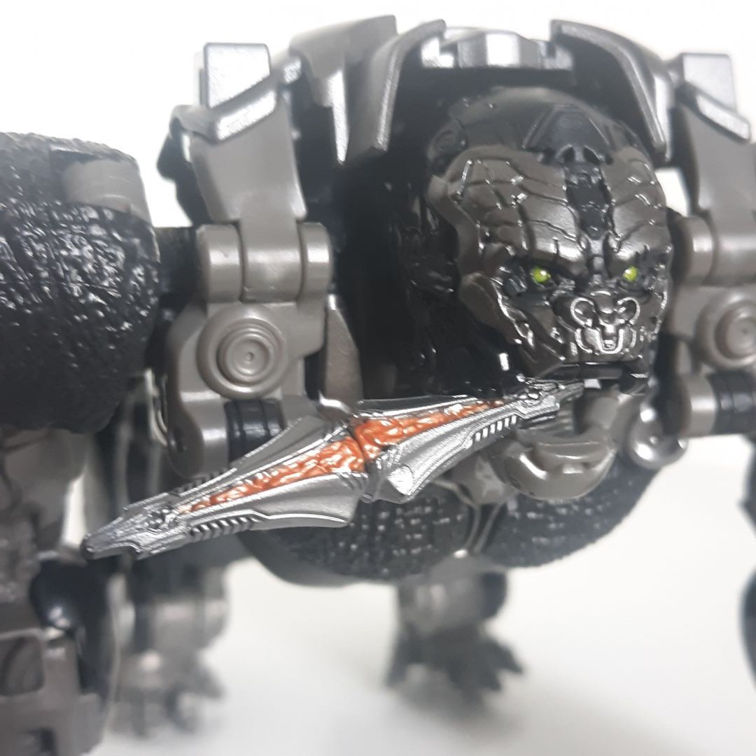 Optimuis Primal - Image 4