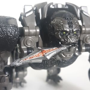 Optimuis Primal