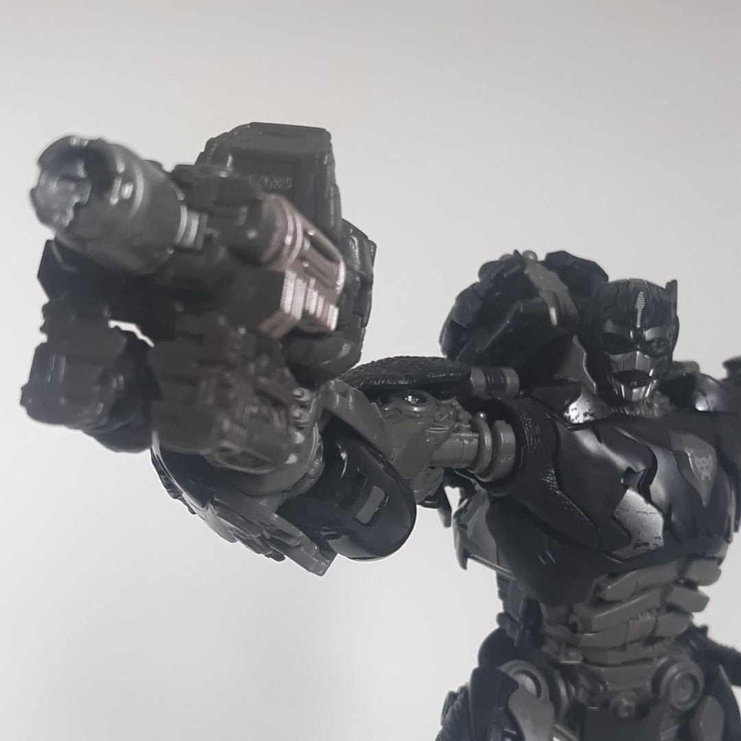 Optimuis Primal - Image 5
