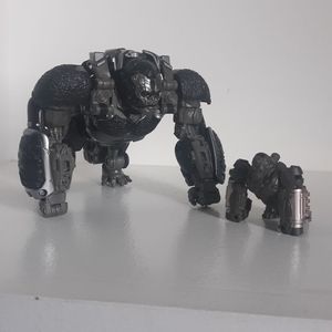 Optimuis Primal