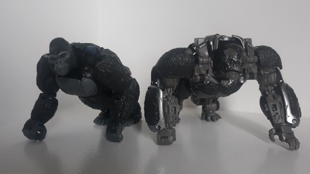 Optimuis Primal - Image 10