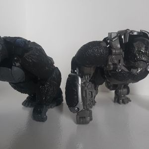Optimuis Primal