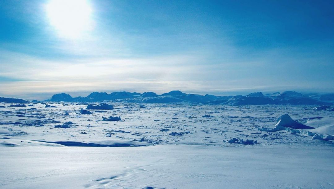 The Arctic 🥶