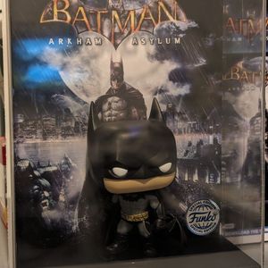 Batman Arkham Asylum Funko Vinyl Figure (#10)
