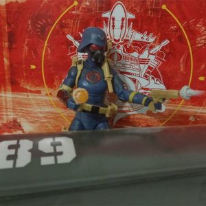 Cobra Valkyries