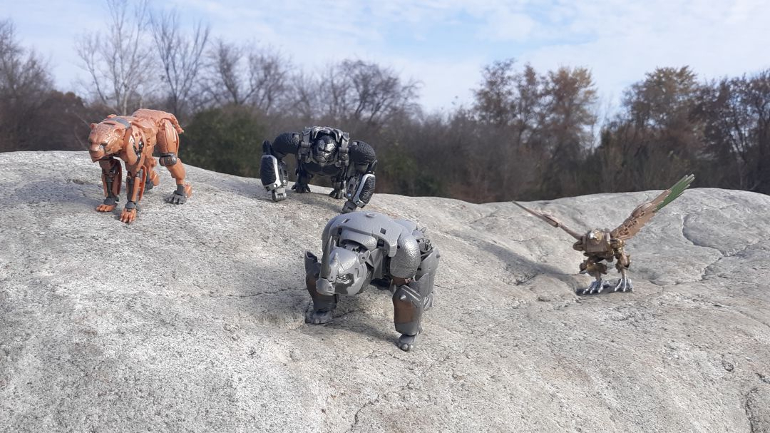 Studio Series Maximuls Review - Image 2