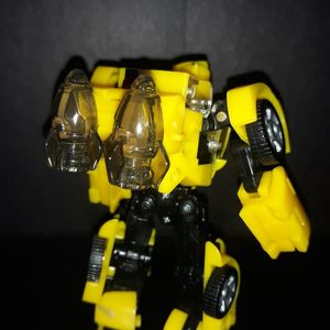 Animated Bumblebee