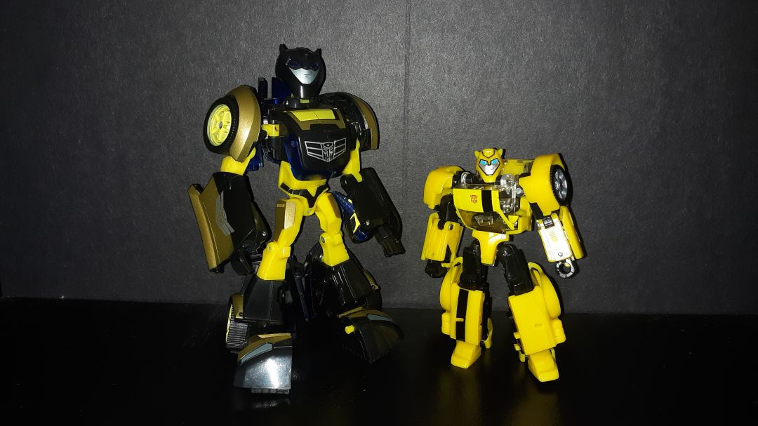 Animated Bumblebee - Image 5