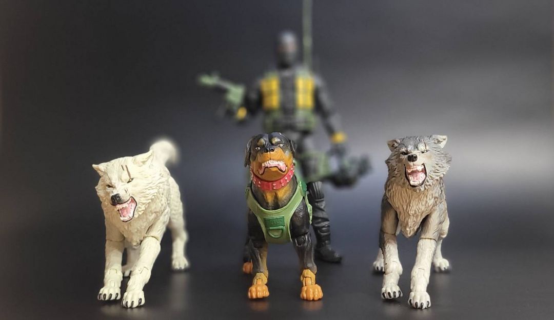 Parth 'Wolf Spider' Varma - Image 8