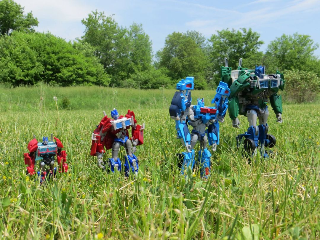 Prime Size - Image 2