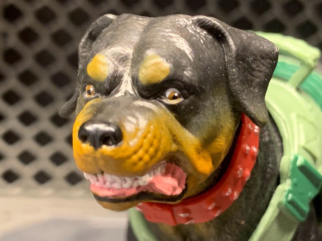 Mutt & Junkyard  - Image 10