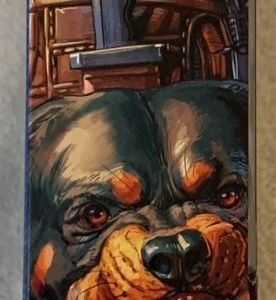 Mutt & Junkyard 