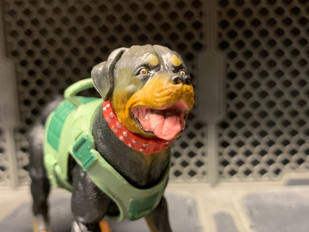 Mutt & Junkyard  - Image 21
