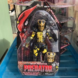 Wasp Predator 