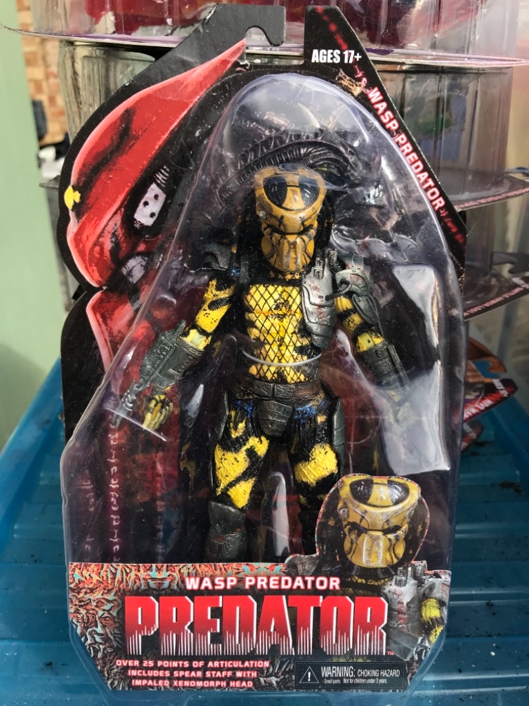 Wasp Predator  - Image 2