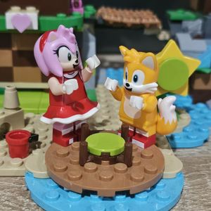 Amy's Animal Rescue Island