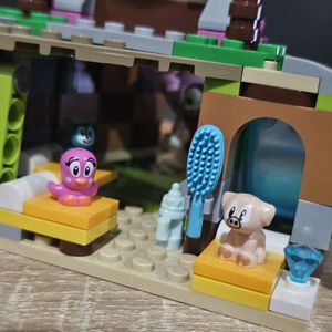 Amy's Animal Rescue Island