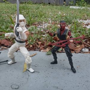 Master & Apprentice