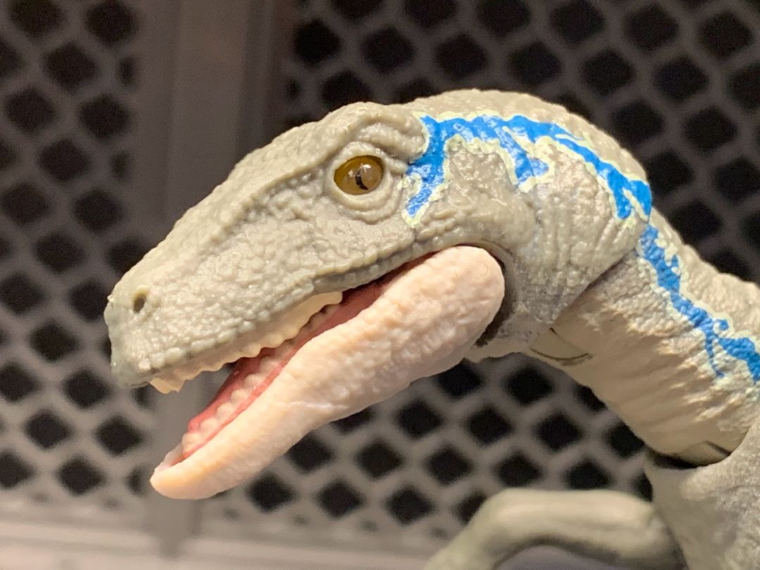 Velociraptor Blue - Image 2