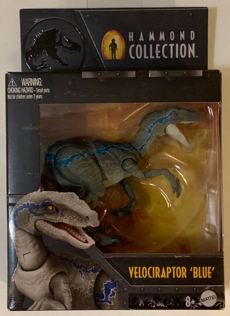 Velociraptor Blue - Image 3