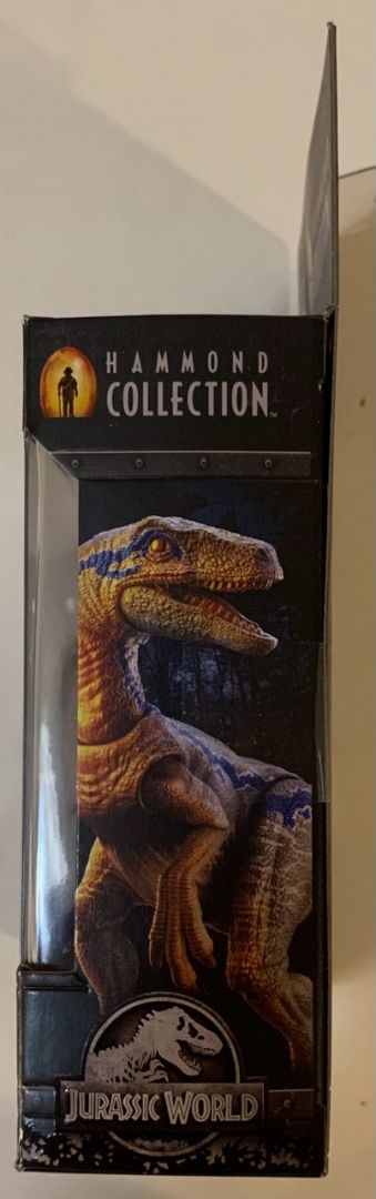 Velociraptor Blue - Image 4